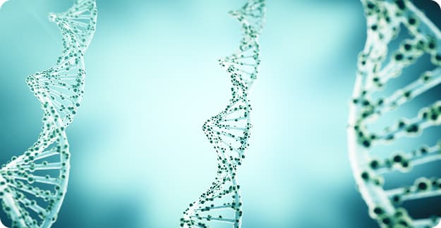 DNA macro image
